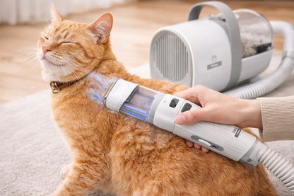 ✨ GroomMaster 7-en-1 – Set de Aseo Pro para Mascotas